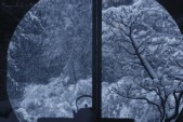 Tamura17.jpg